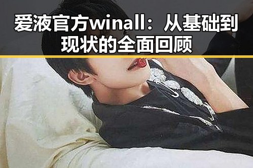 爱液官方winall:从基础到现状的全面回顾