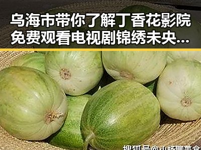 乌海市带你了解丁香花影院免费观看电视剧锦绣未央官方版免费版的最新动态