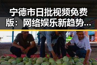 宁德市日批视频免费版：网络娱乐新趋势与背后分析
