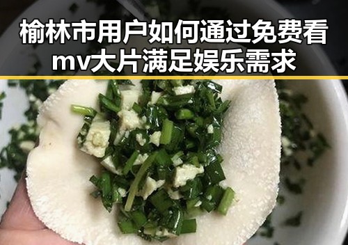 榆林市用户如何通过免费看mv大片满足娱乐需求