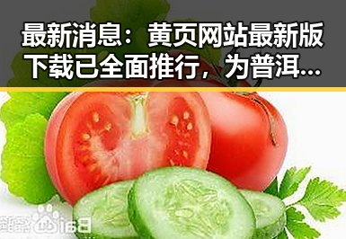 最新消息:黄页网站最新版下载已全面推行,为普洱市用户带来便利