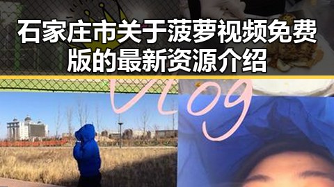石家庄市关于菠萝视频免费版的最新资源介绍