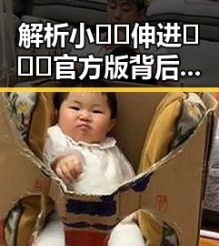 解析小🐔🐔伸进🈲🔞🔞官方版背后的秘密与争议