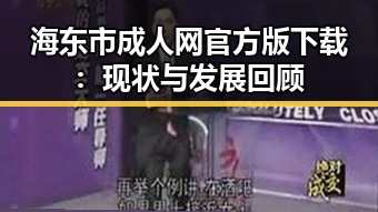海东市成人网官方版下载:现状与发展回顾