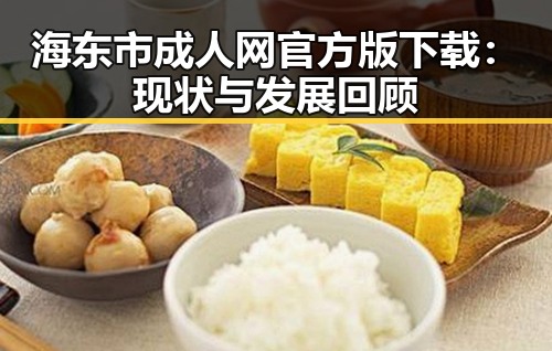 海东市成人网官方版下载:现状与发展回顾