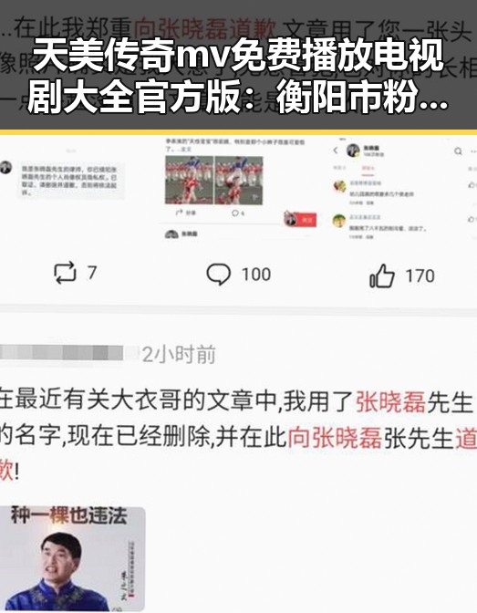天美传奇mv免费播放电视剧大全官方版：衡阳市粉丝的新宠儿
