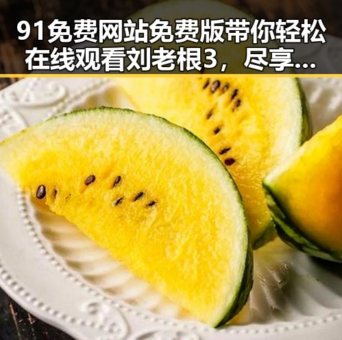 91免费网站免费版带你轻松在线观看刘老根3,尽享东北风情