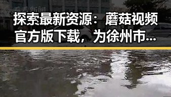 探索最新资源：蘑菇视频官方版下载，为徐州市用户带来精彩内容