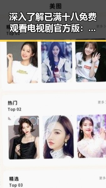 深入了解已满十八免费观看电视剧官方版：保障观众权益的官方渠道