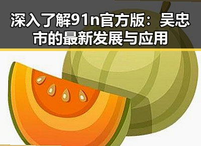 深入了解91n官方版：吴忠市的最新发展与应用