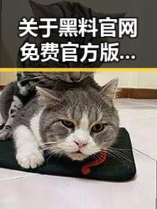 关于黑料 官网免费官方版的背景解读：从广州到网络风潮