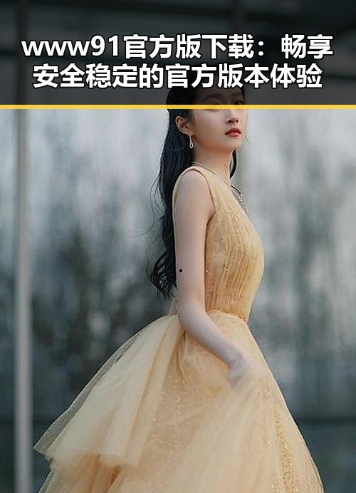 www91官方版下载：畅享安全稳定的官方版本体验