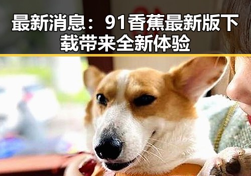 最新消息：91香蕉最新版下载带来全新体验