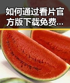 如何通过看片官方版下载免费版体验优质内容