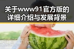 关于www91官方版的详细介绍与发展背景