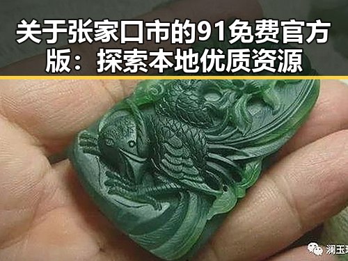 关于张家口市的91免费官方版：探索本地优质资源