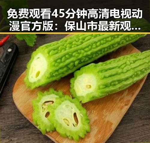 免费观看45分钟高清电视动漫官方版：保山市最新观看指南
