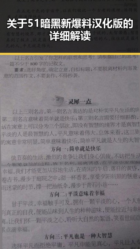关于51暗黑新爆料汉化版的详细解读