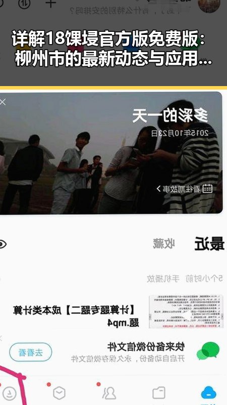 详解18馃埐官方版免费版：柳州市的最新动态与应用分析