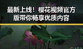 最新上线！樱花视频官方版带你畅享优质内容