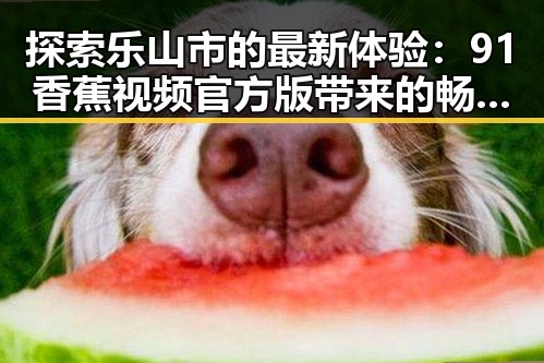 探索乐山市的最新体验：91香蕉视频官方版带来的畅享之旅