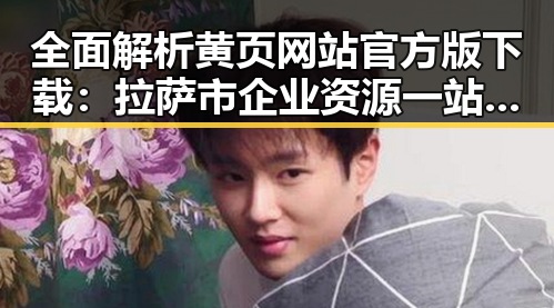 全面解析黄页网站官方版下载：拉萨市企业资源一站掌握
