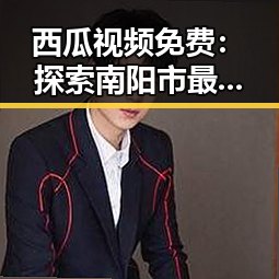 西瓜视频免费：探索南阳市最新娱乐内容的最佳平台