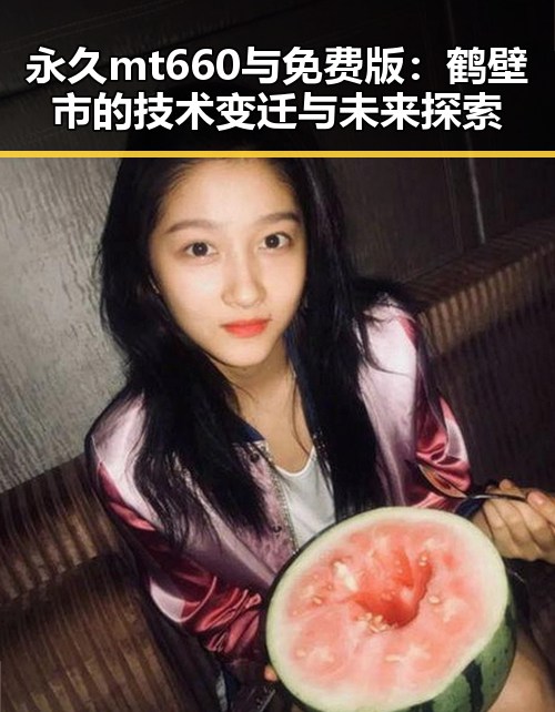 永久mt660与免费版：鹤壁市的技术变迁与未来探索