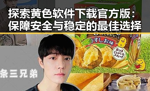 探索黄色软件下载官方版：保障安全与稳定的最佳选择