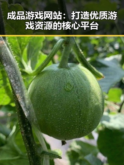 成品游戏网站：打造优质游戏资源的核心平台