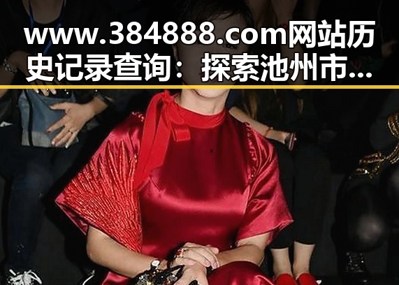 www.384888.com网站历史记录查询：探索池州市的历史变迁