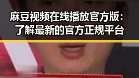 麻豆视频在线播放官方版：了解最新的官方正规平台
