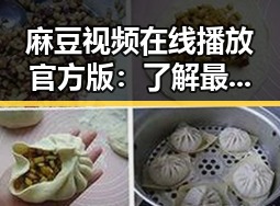 麻豆视频在线播放官方版：了解最新的官方正规平台