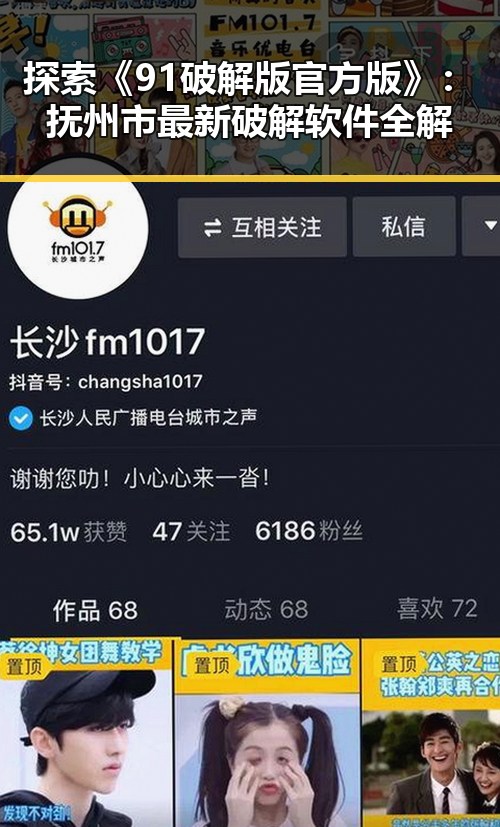 探索《91破解版官方版》：抚州市最新破解软件全解