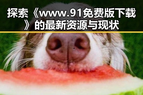 探索《www.91免费版下载》的最新资源与现状