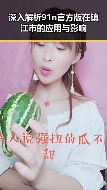 深入解析91n官方版在镇江市的应用与影响