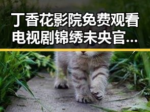 丁香花影院免费观看电视剧锦绣未央官方版：人物聚焦与变化