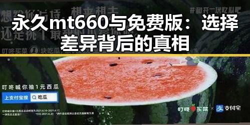 永久mt660与免费版：选择差异背后的真相