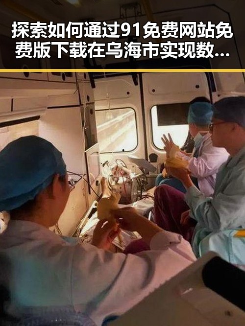 探索如何通过91免费网站免费版下载在乌海市实现数字化转型