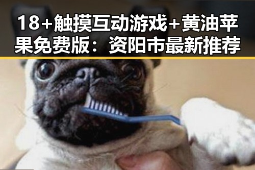 18+触摸互动游戏+黄油苹果免费版：资阳市最新推荐