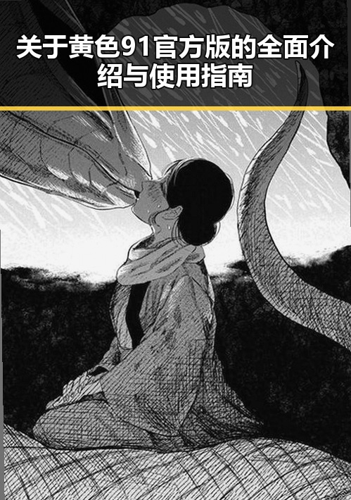 关于黄色91官方版的全面介绍与使用指南