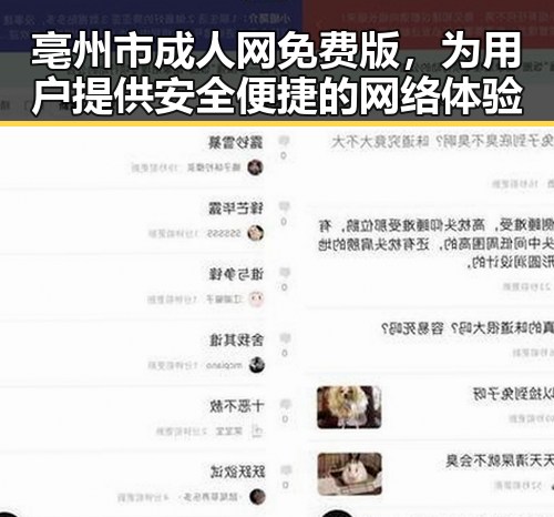 亳州市成人网免费版，为用户提供安全便捷的网络体验