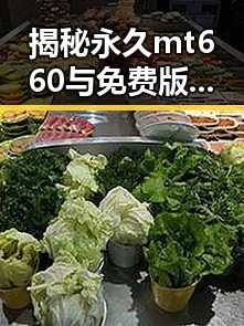 揭秘永久mt660与免费版:选择指南与实用建议