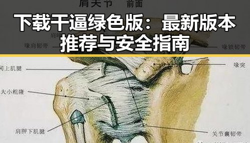 下载干逼绿色版:最新版本推荐与安全指南