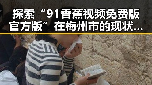 探索“91香蕉视频免费版官方版”在梅州市的现状与未来