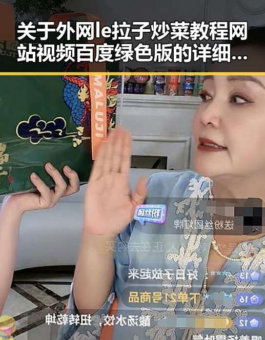 关于外网le拉子炒菜教程网站视频百度绿色版的详细解析
