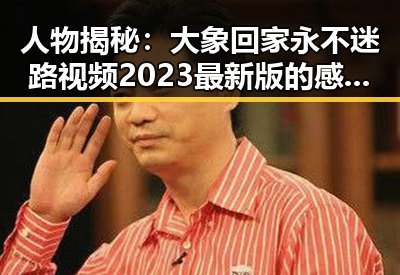 人物揭秘:大象回家永不迷路视频2023最新版的感人瞬间
