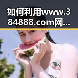 如何利用www.384888.com网站历史记录查询提升信息追溯能力