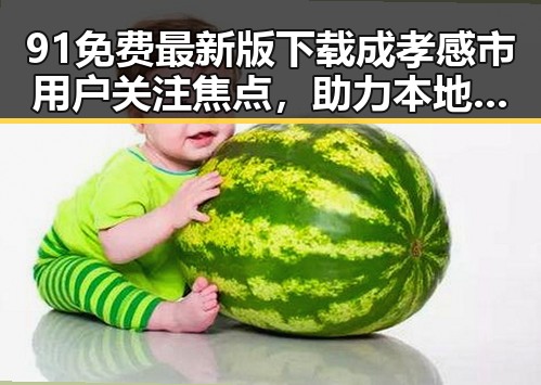 91免费最新版下载成孝感市用户关注焦点,助力本地数字化发展