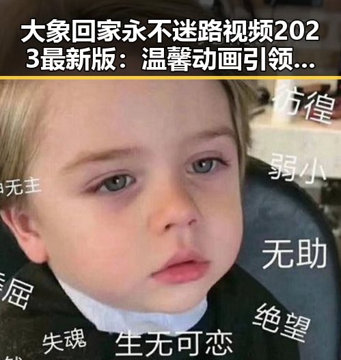 大象回家永不迷路视频2023最新版:温馨动画引领宠物归家新体验
